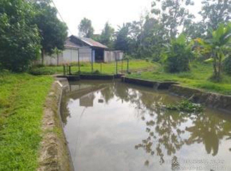 PROFIL DAERAH IRIGASI 1. Foto Keterangan BPD PENDO
