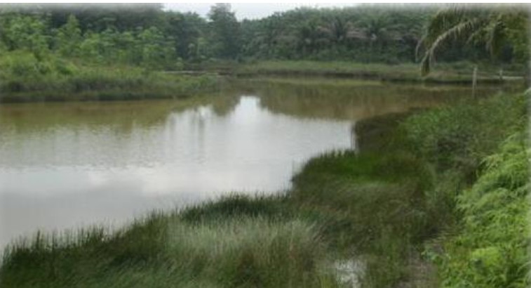 PROFIL DAERAH IRIGASI 1FOTOK1 5