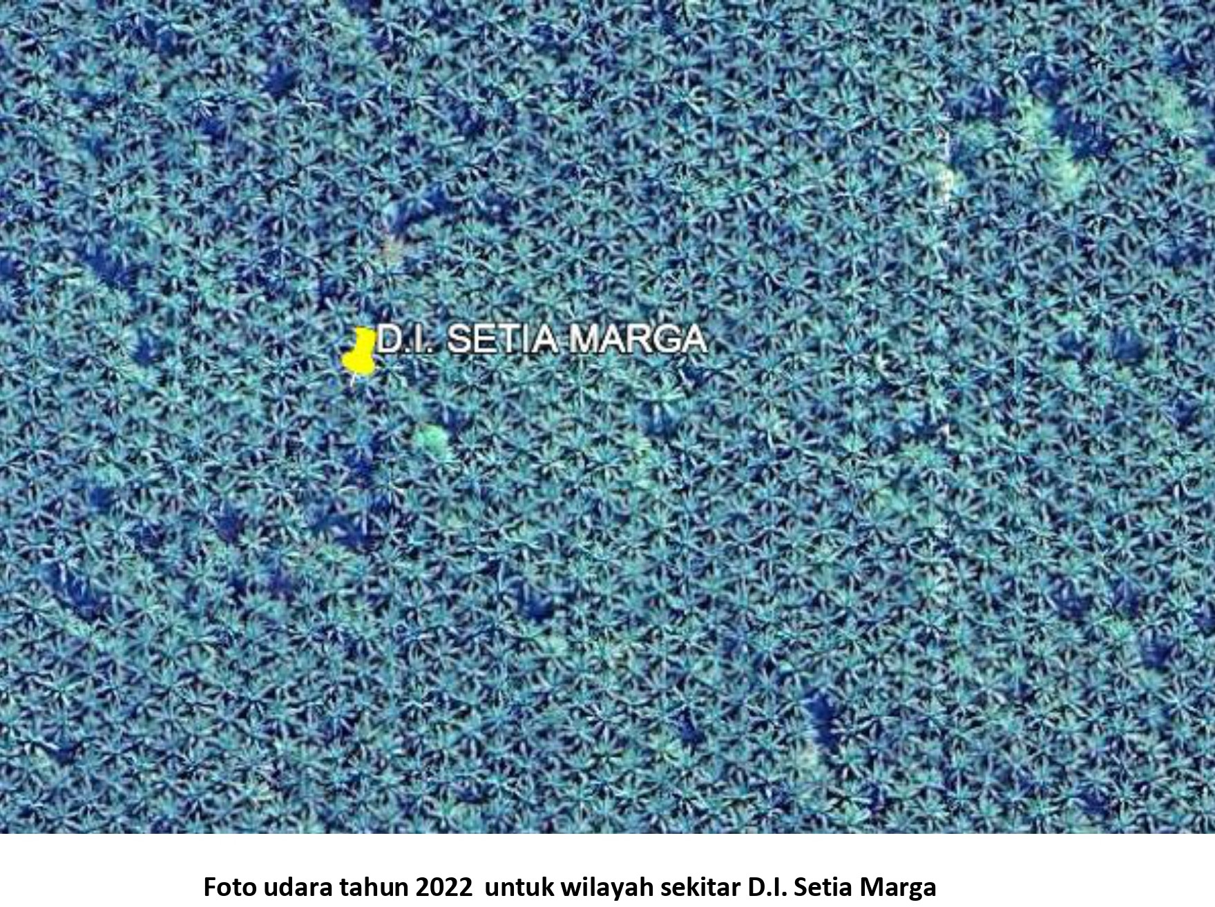 PROFIL DAERAH IRIGASI 2FOTOT1 12