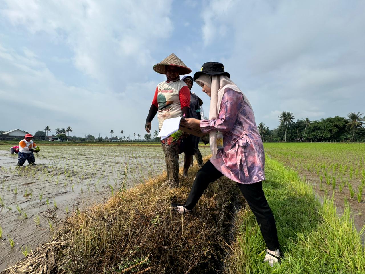 Profil UPT Daerah Irigasi Kelingi Tugumulyo Foto Galeri Tugumulyo 7